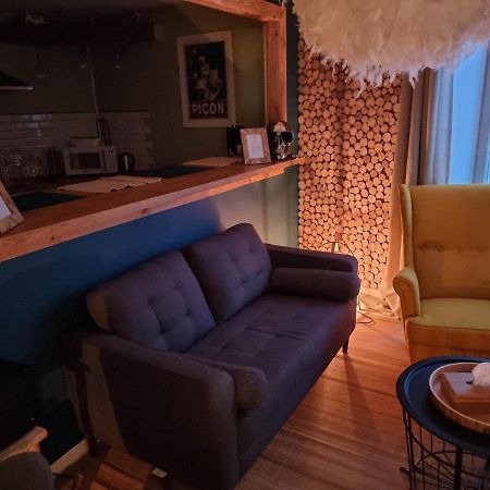 Petit Cocon Quartier Historique Chaumont Διαμέρισμα Chaumont  Εξωτερικό φωτογραφία